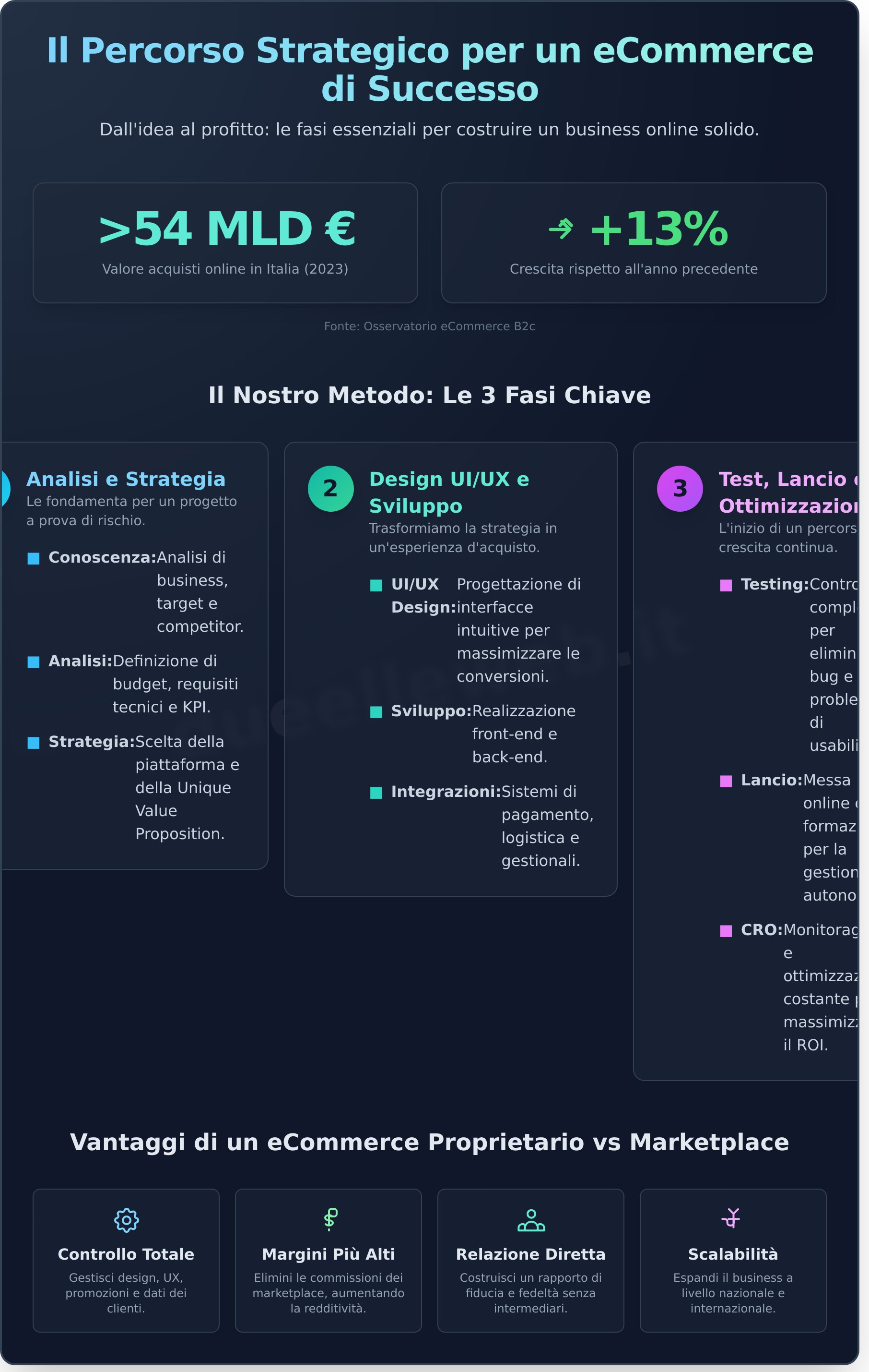 Sviluppo ecommerce infographic - visual guide