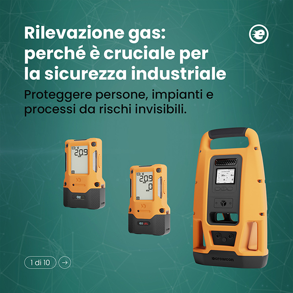 Caso Studio: E Instruments - Due Elle Communication