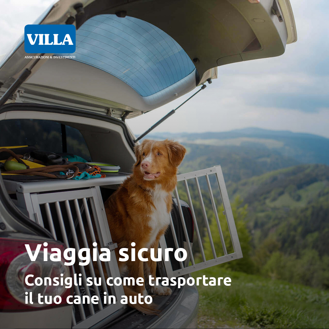 Caso Studio: Villa Assicurazioni - Due Elle Communication